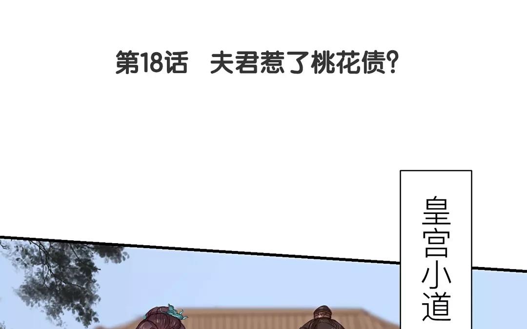 第18话 夫君惹了桃花债？(1/2)-第19话