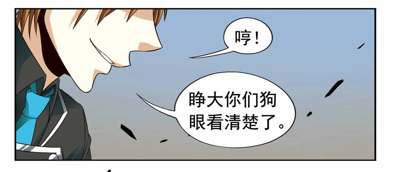 🍲致幻毁灭者 250 第4页
