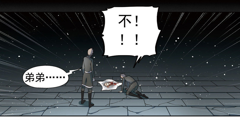 🍲致幻毁灭者 272 第3页