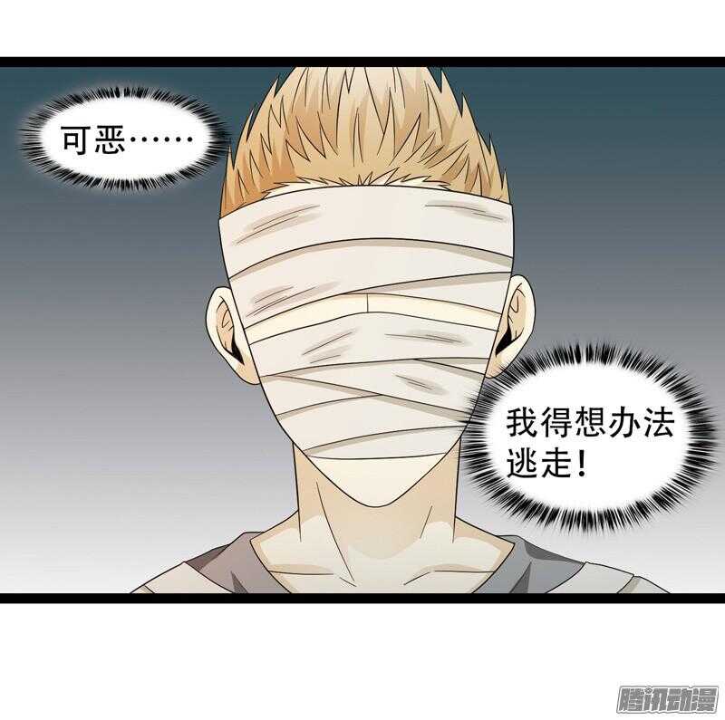 🍲致幻毁灭者 596 第5页