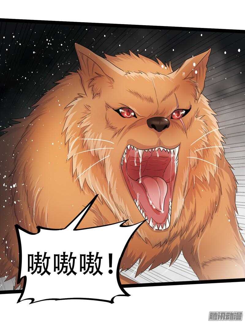 🍲致幻毁灭者 606 第12页