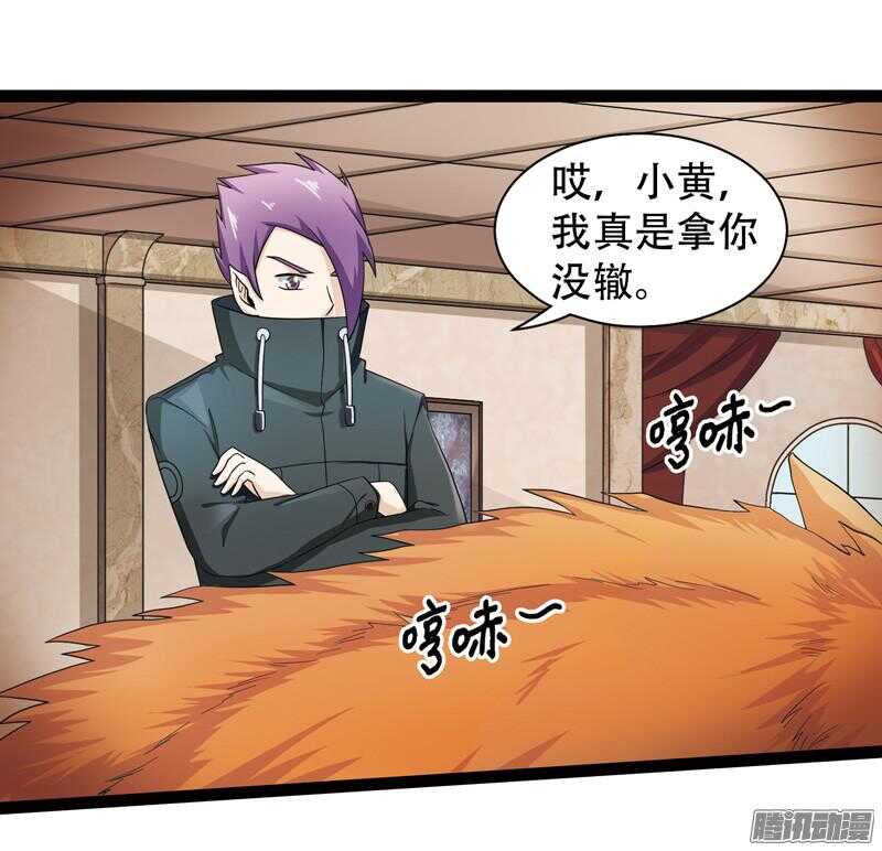 🍲致幻毁灭者 606 第3页