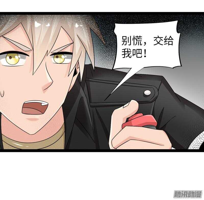 🍲致幻毁灭者 682 第10页