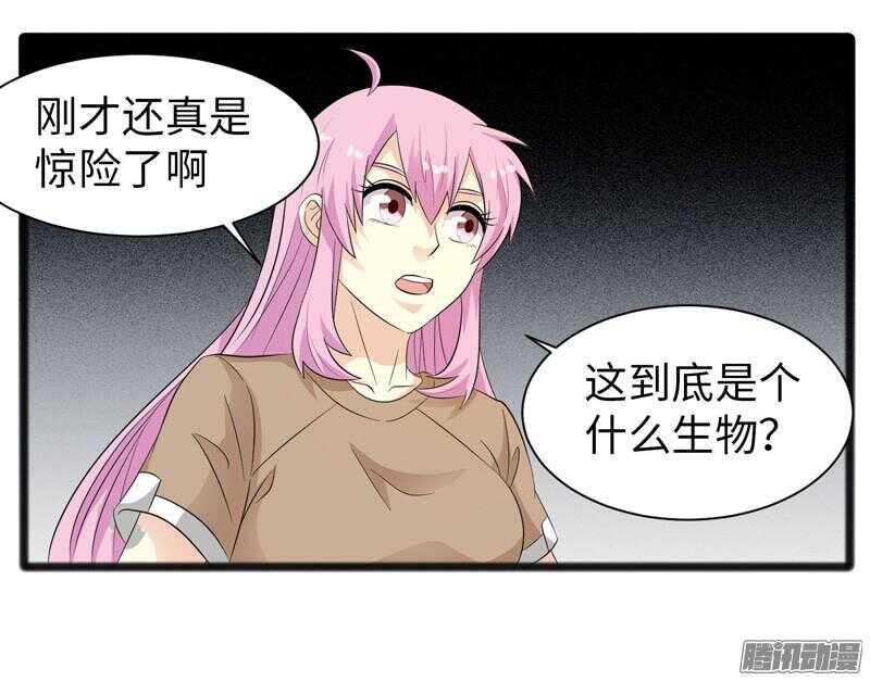🍲致幻毁灭者 686 第11页