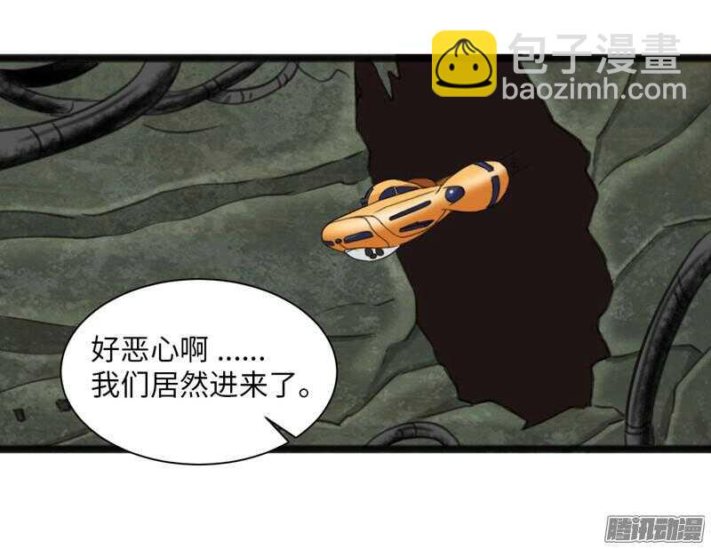 🍲致幻毁灭者 686 第16页