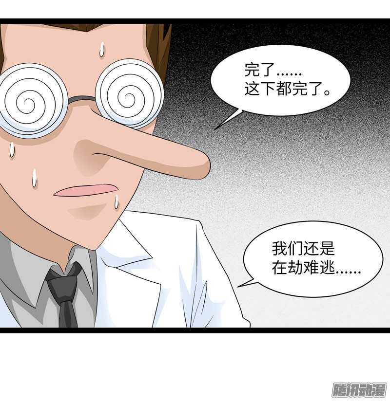 🍲致幻毁灭者 704 第14页