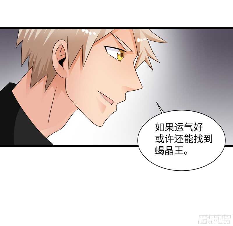 🍲致幻毁灭者 786 第8页