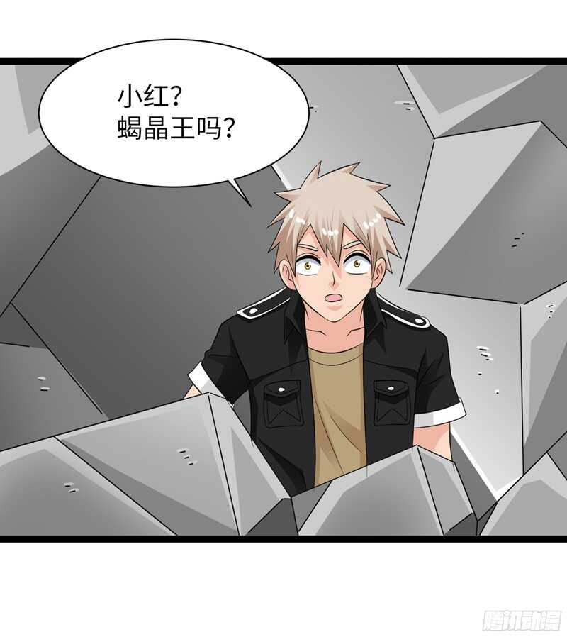 🍲致幻毁灭者 794 第9页