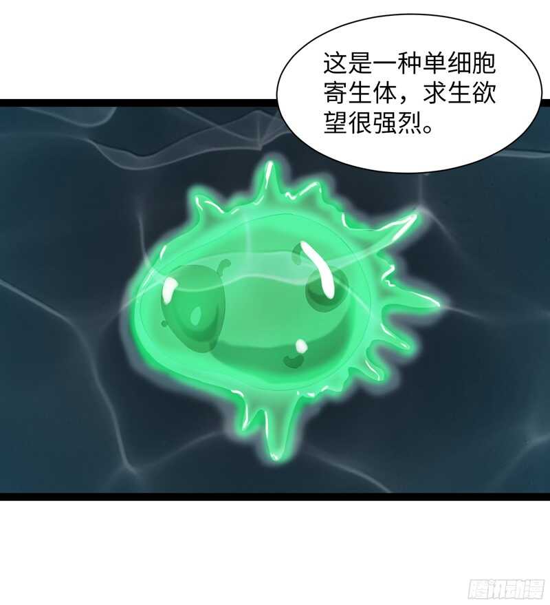 🍲致幻毁灭者 798 第19页