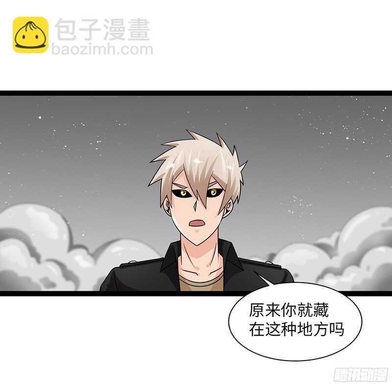 🍲致幻毁灭者 810 第11页