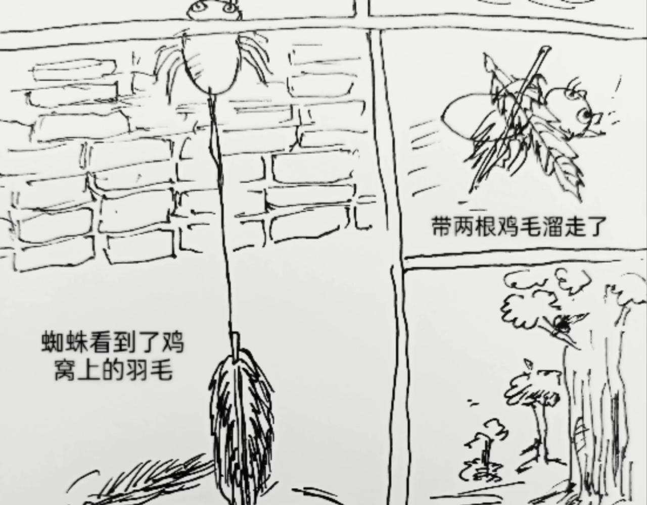 无毛鸡的愤怒-第11话