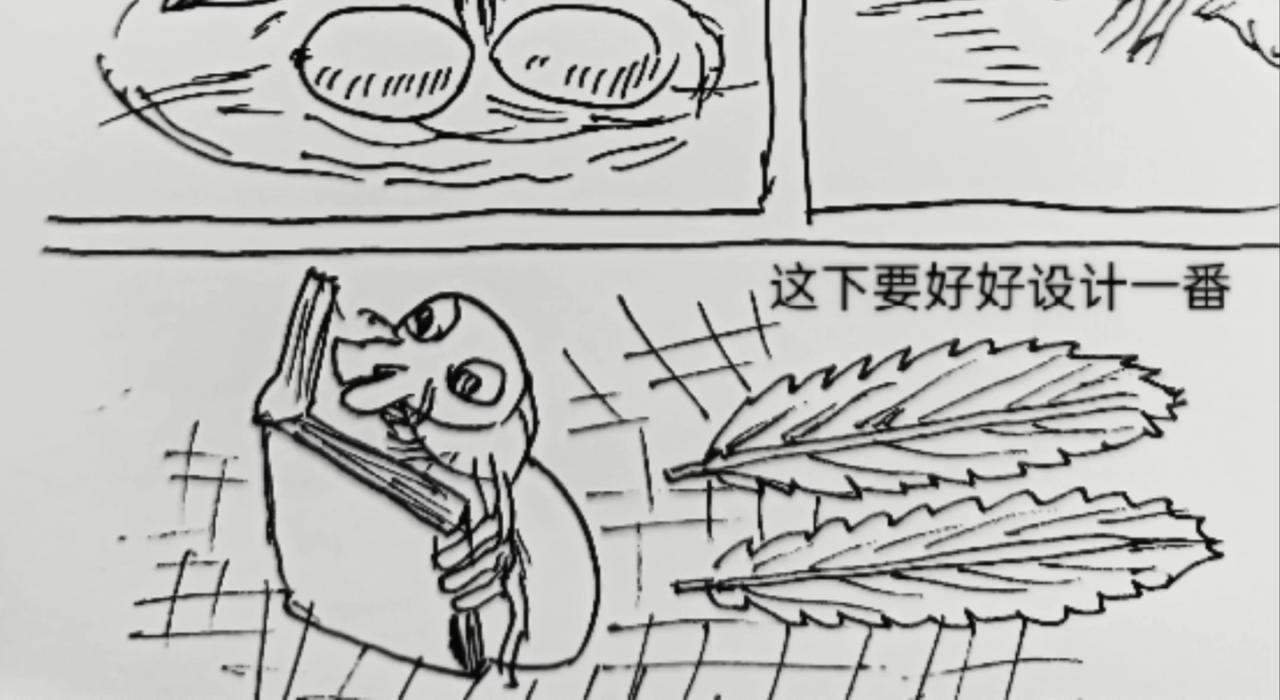 无毛鸡的愤怒-第11话