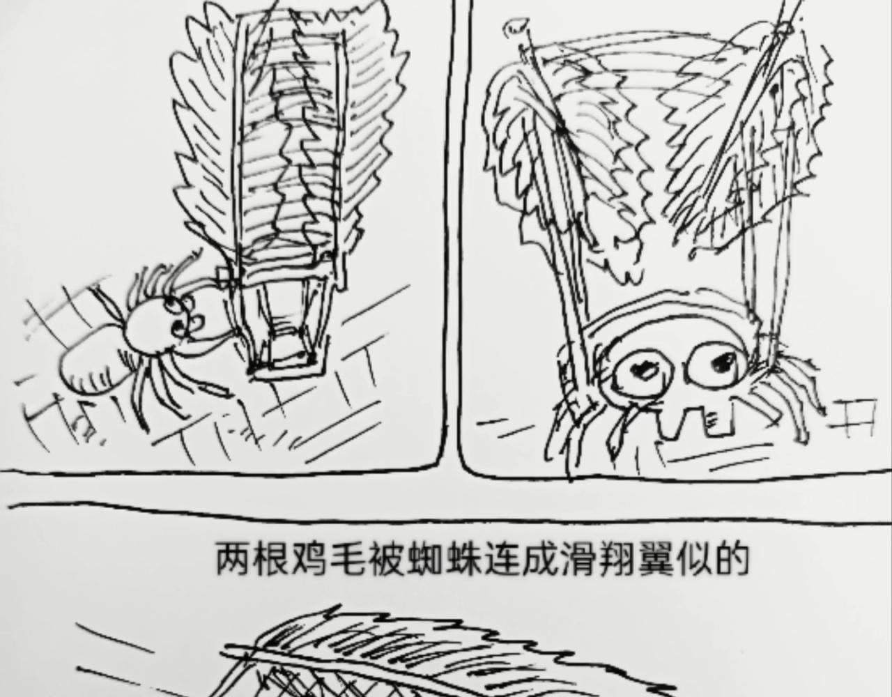 无毛鸡的愤怒-第11话