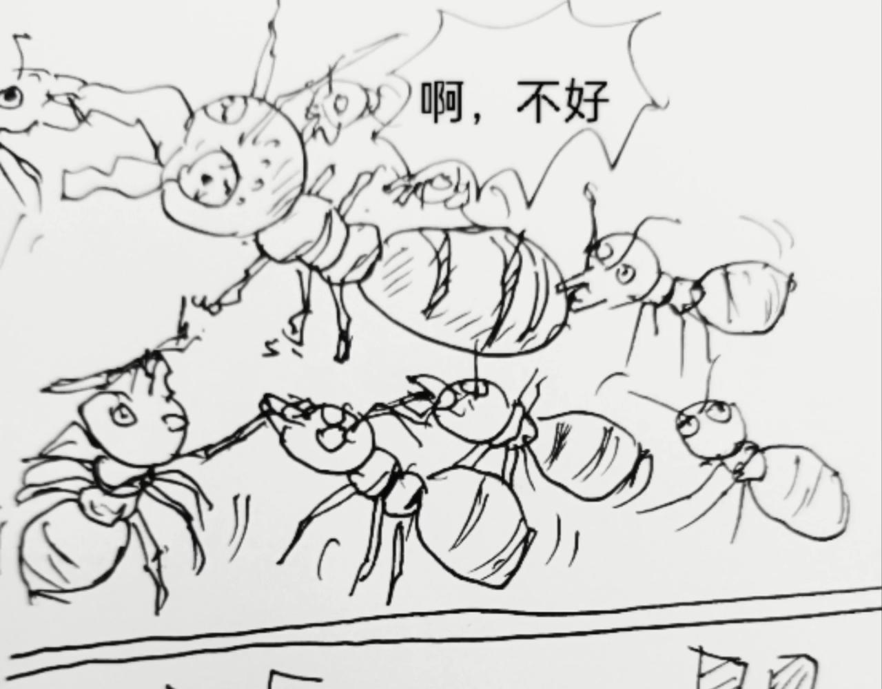 无毛鸡的愤怒-第11话