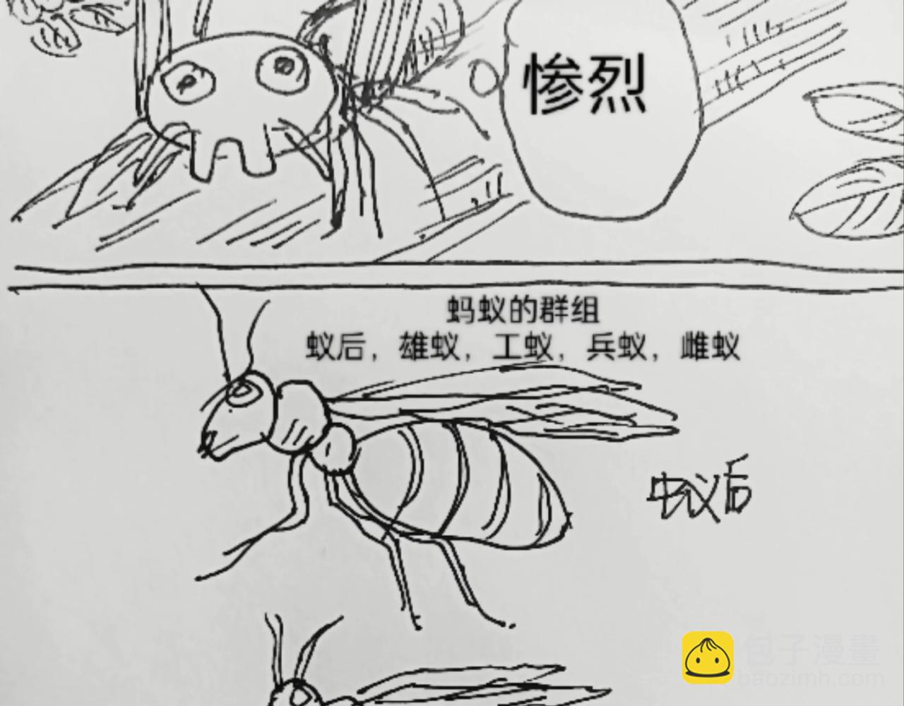 无毛鸡的愤怒-第11话