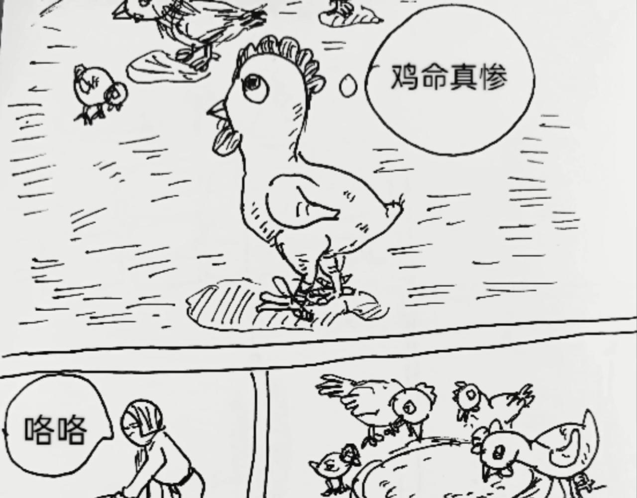 无毛鸡的愤怒-第11话