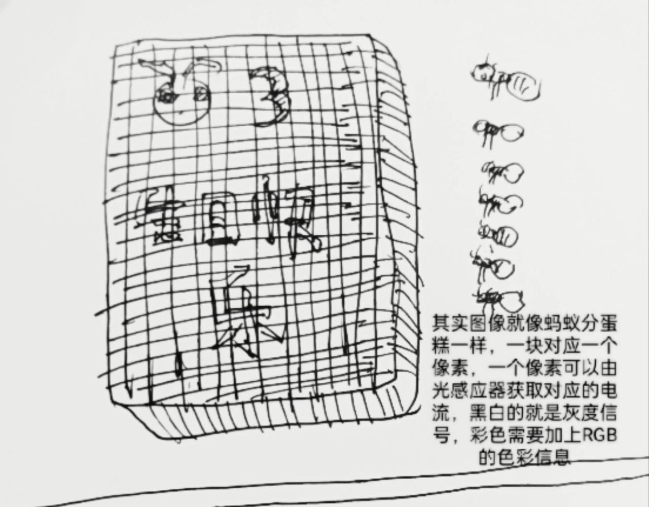 蚁后的生日蛋糕-第13话