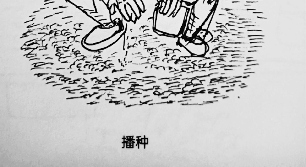 月球种子发芽-第23话