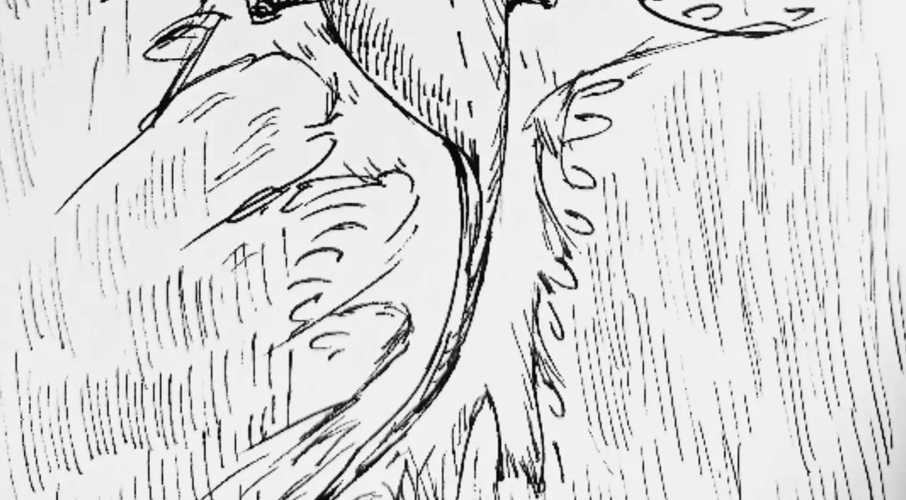 种松树苗-第53话