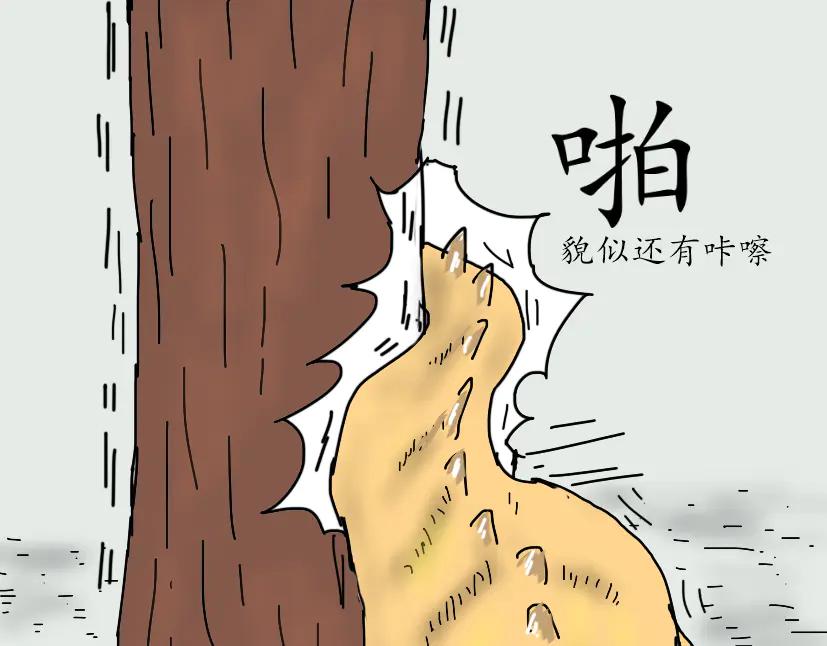 遇到同伴-第67话