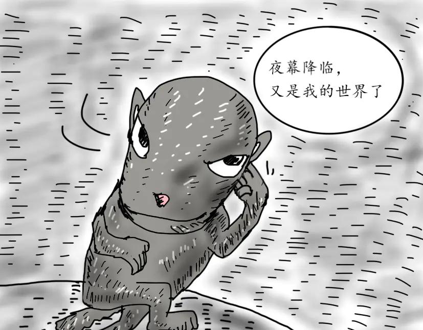 遇到同伴-第67话