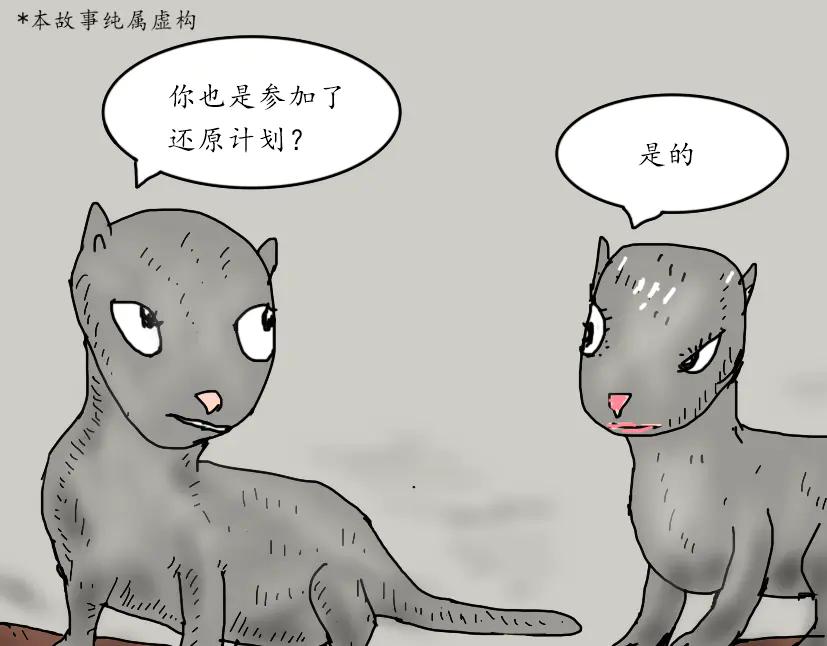 遇到同伴-第67话