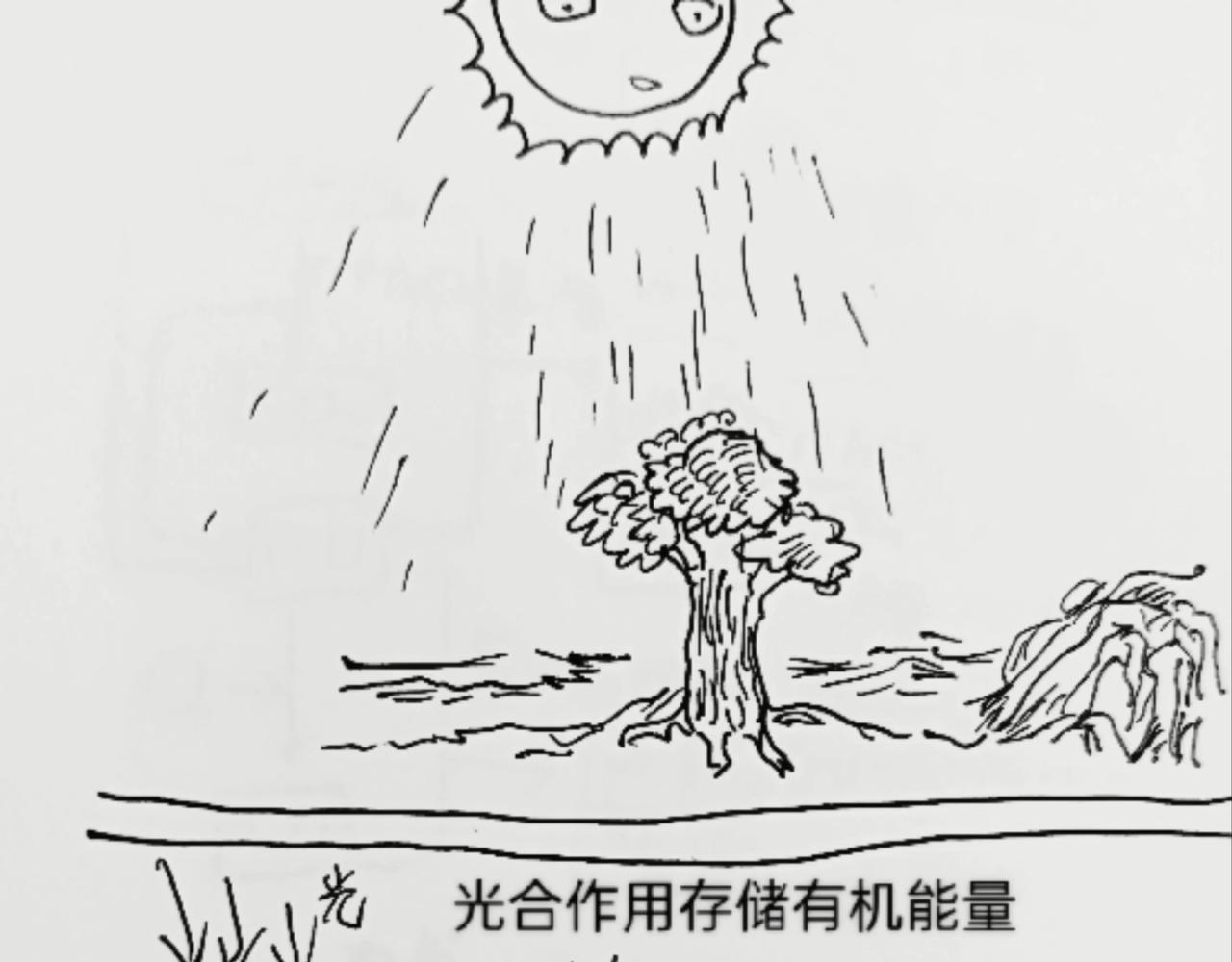 细胞的功能真强大-第9话
