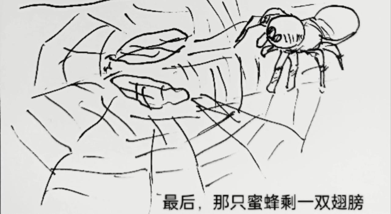 细胞的功能真强大-第9话