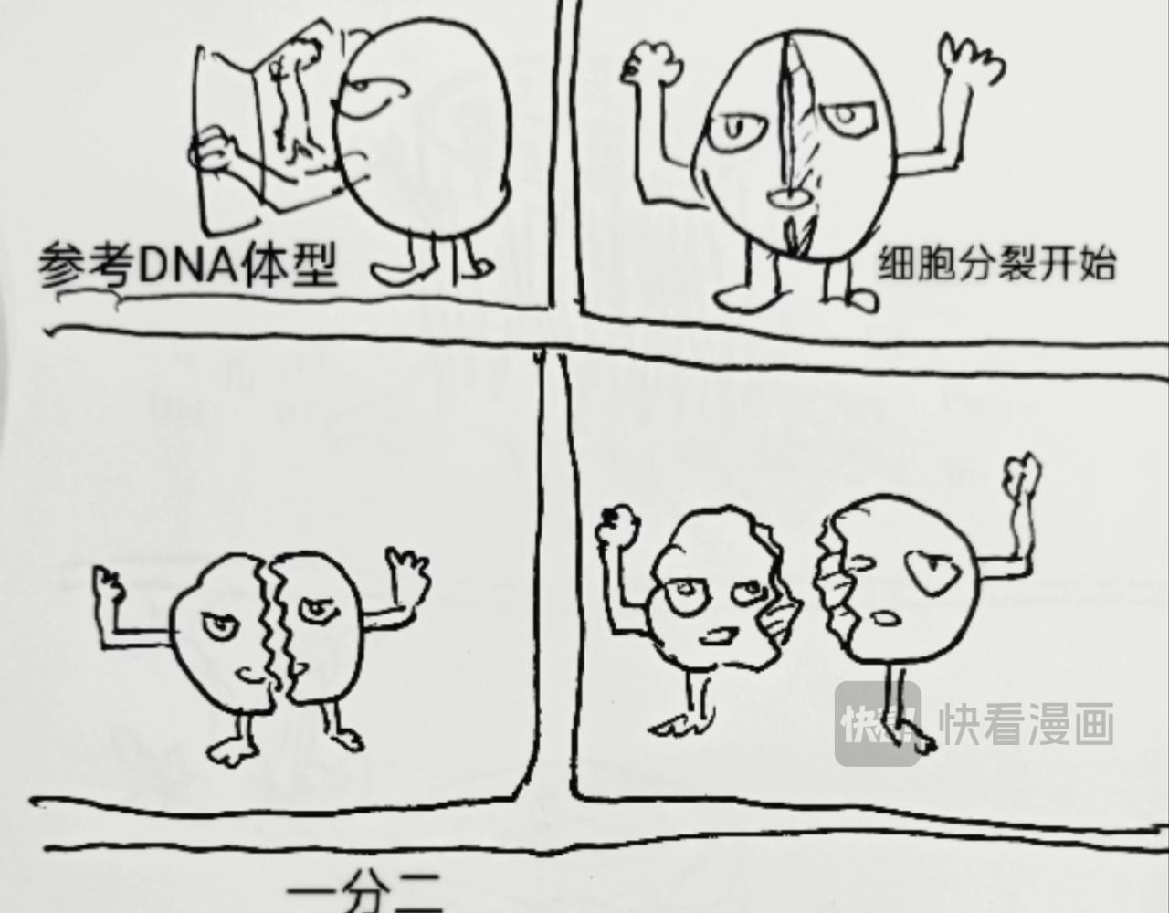 细胞的功能真强大-第9话
