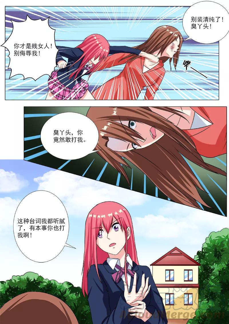 第206话 三个女人一台戏-第207话