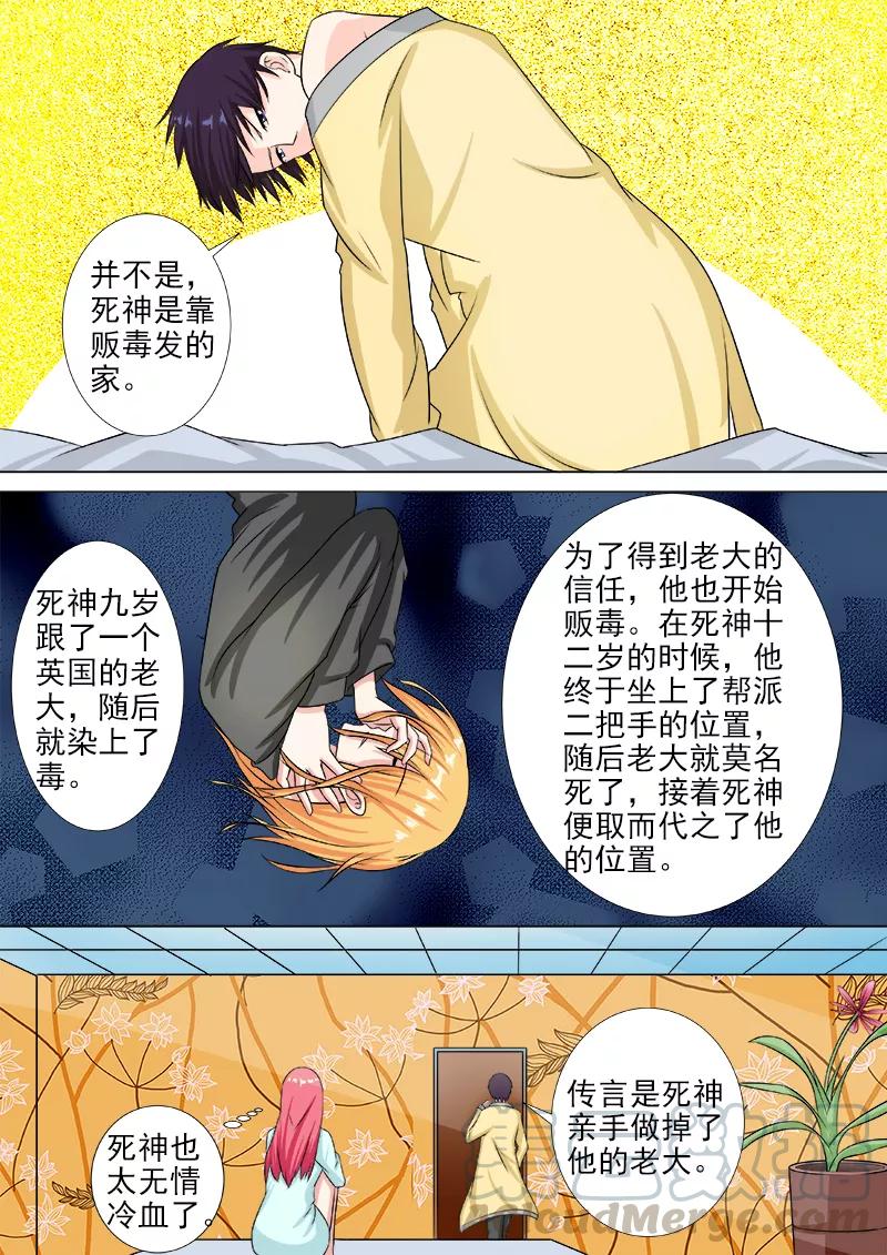 第216话 拙劣的美人计-第217话