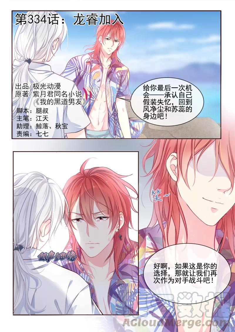 第334话 龙睿加入-第335话