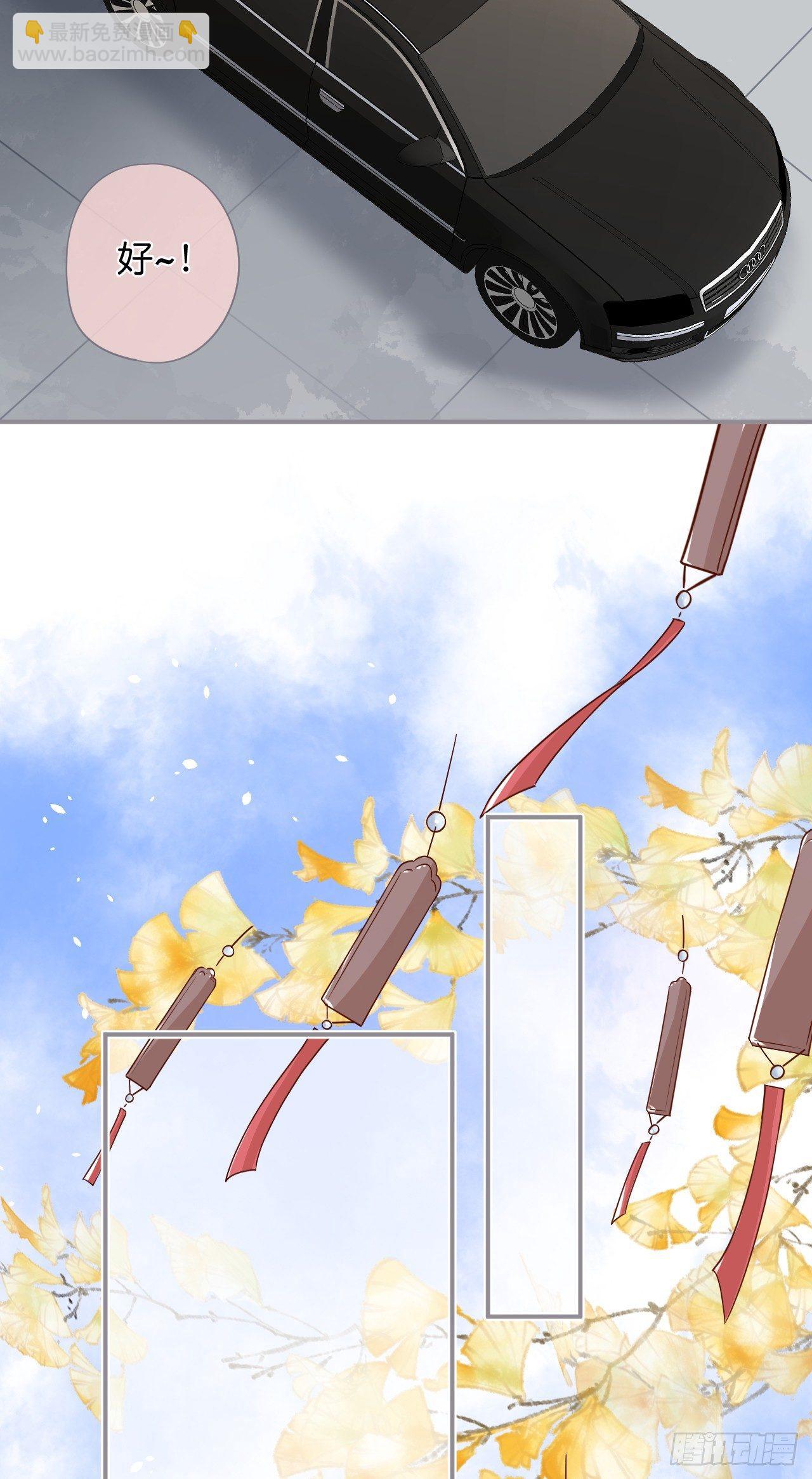 🍲致命氧气 银杏树的浪漫~ 第17页