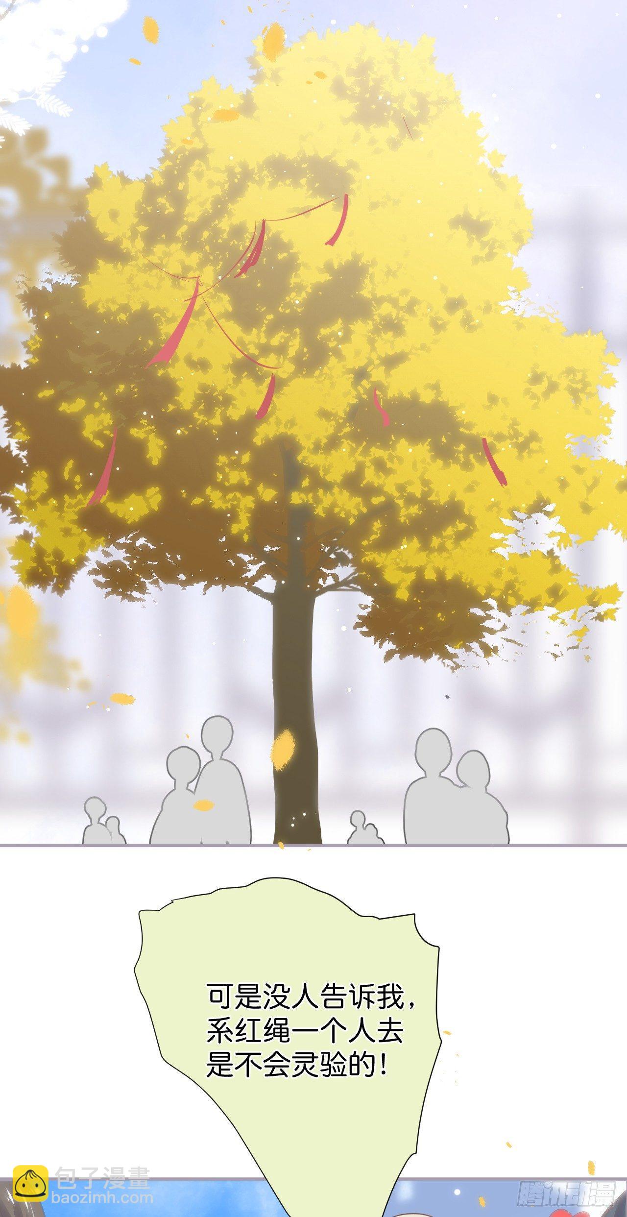 🍲致命氧气 银杏树的浪漫~ 第2页