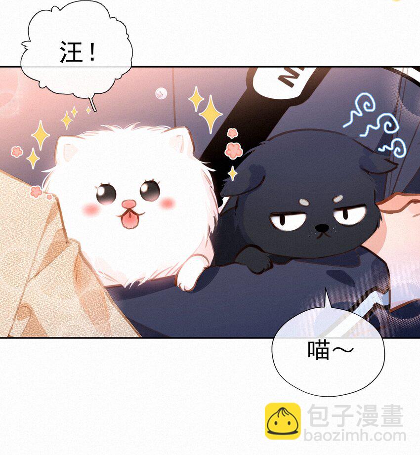 065 结婚真的很可怕(1/2)-第67话