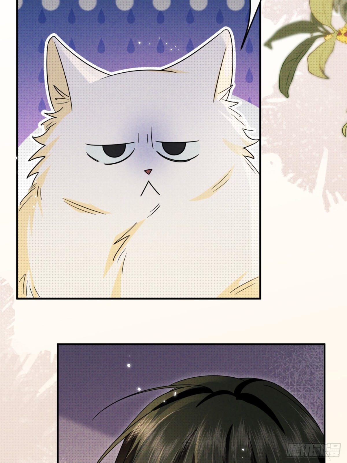 031.一起玩捉迷藏吧(1/2)-第35话