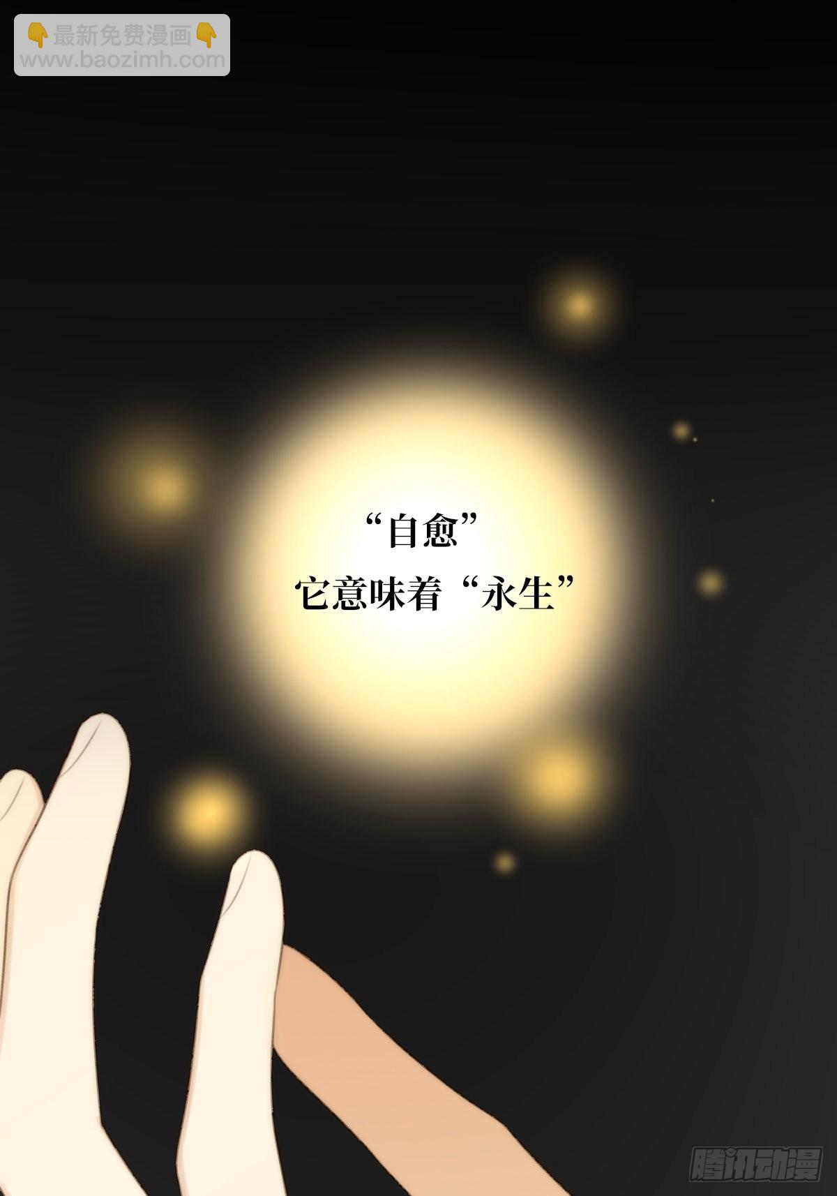 白夜坎坷的过去(1/2)-第17话