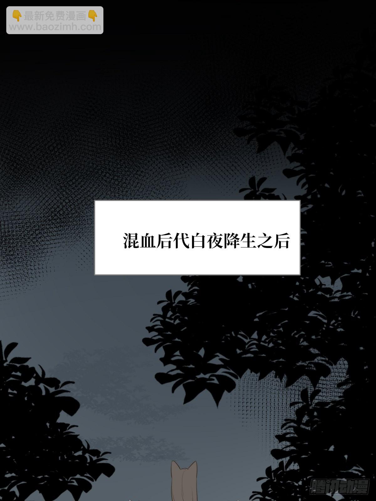 白夜坎坷的过去(1/2)-第17话
