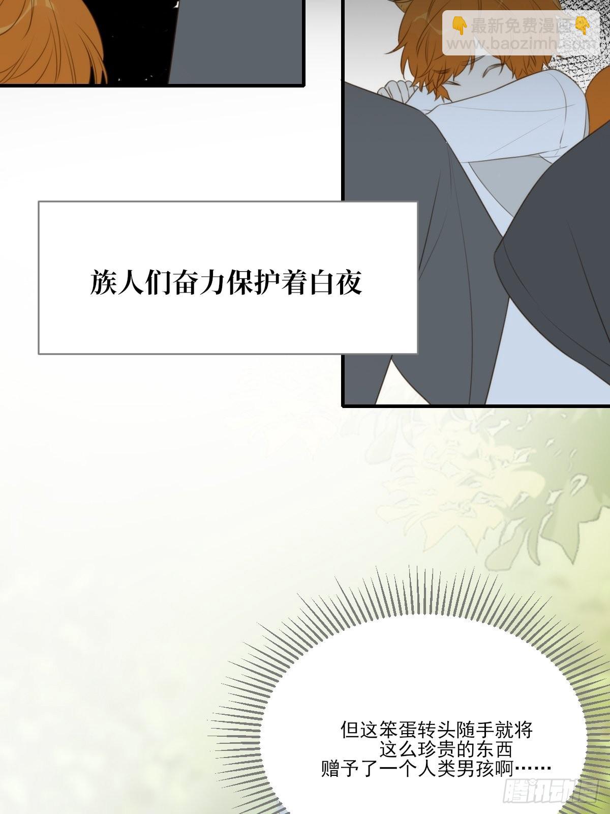 白夜坎坷的过去(1/2)-第17话