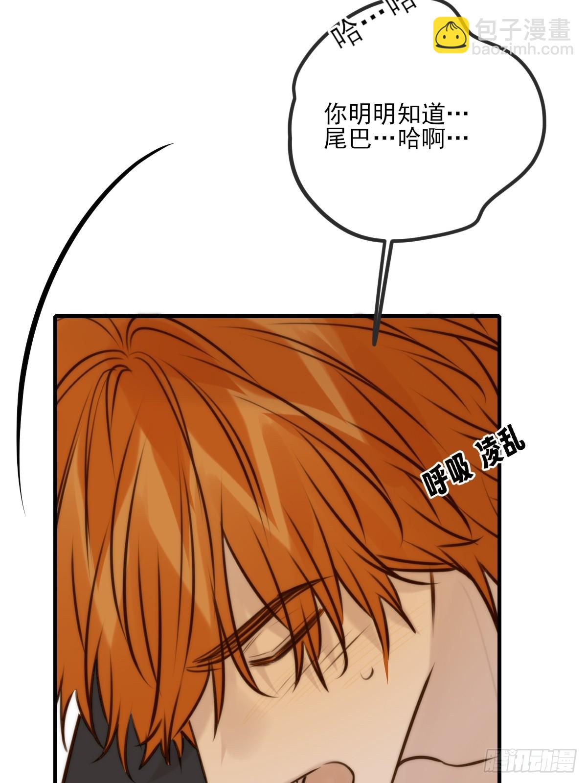 敏感的尾巴(1/2)-第157话