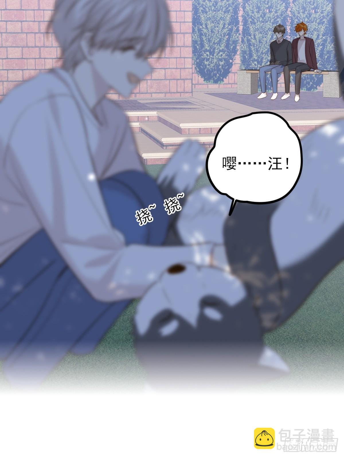 哥哥的点头(1/2)-第161话