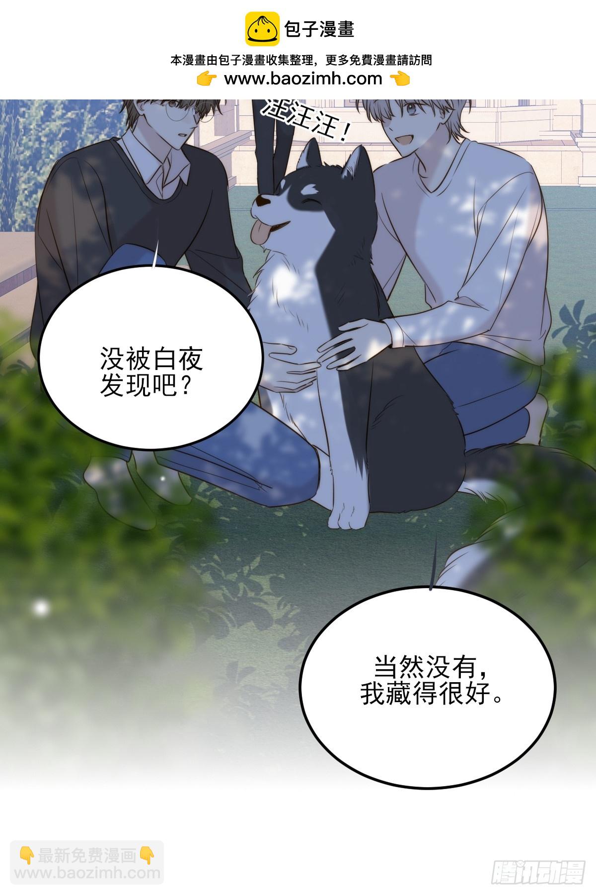 哥哥的点头(1/2)-第161话