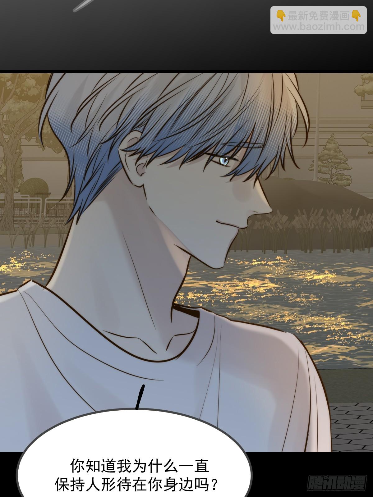 他的视角(1/2)-第175话