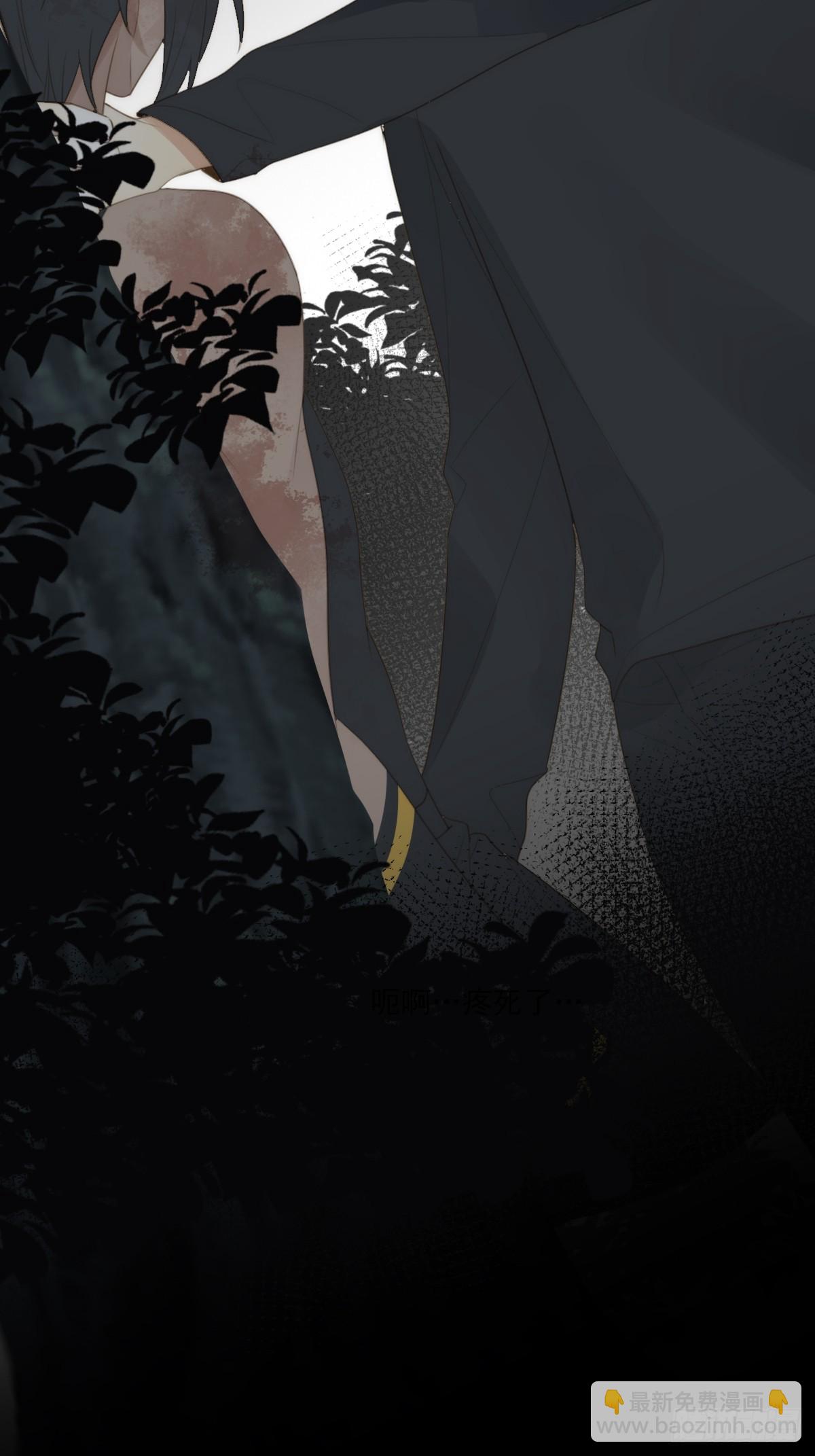 记忆苏醒，白夜回归(1/2)-第33话
