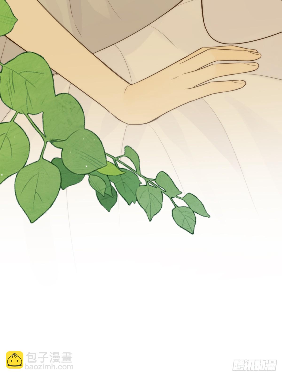 交给我吧！(1/2)-第37话