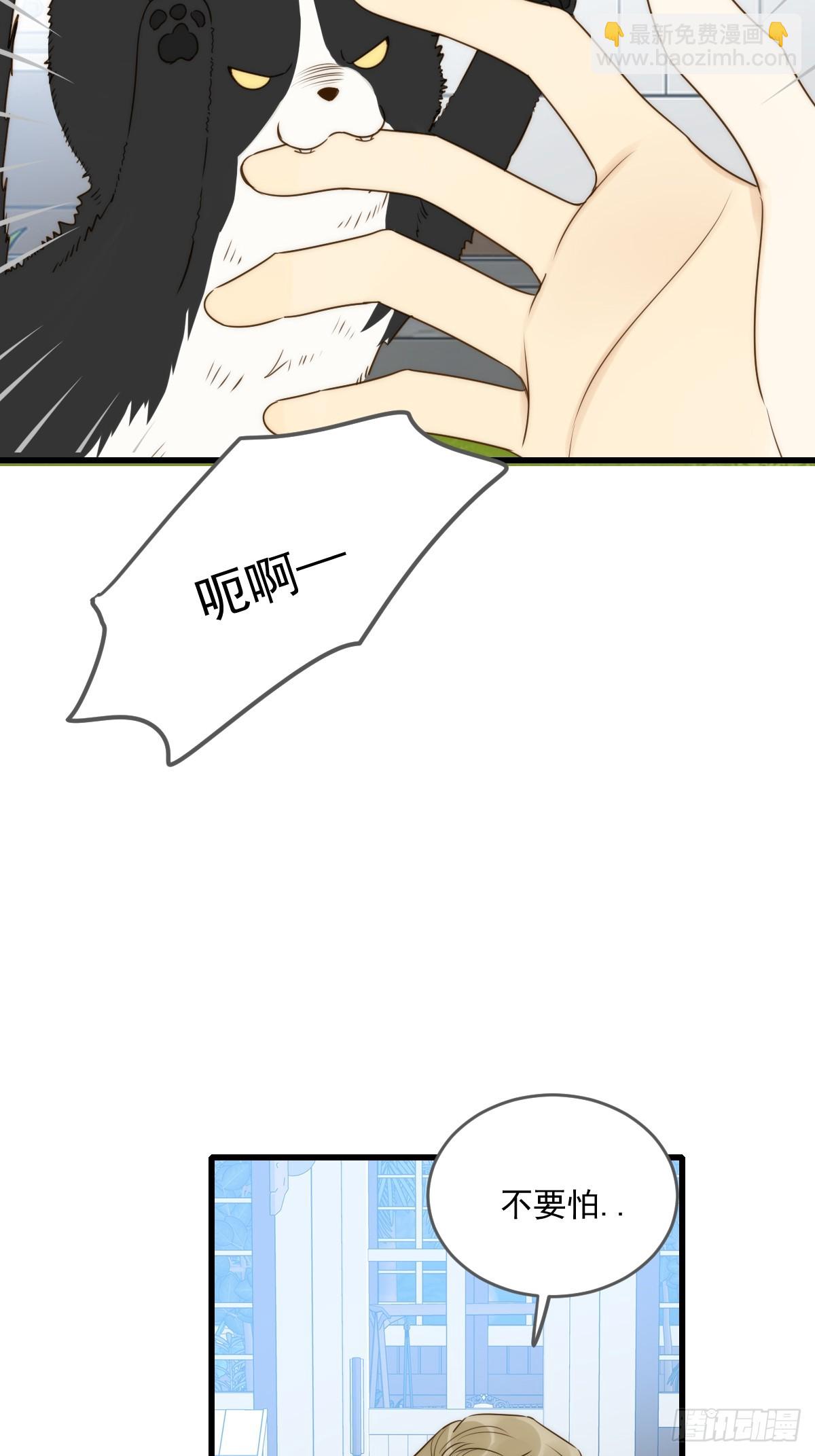 暗爽的青铭(1/2)-第61话
