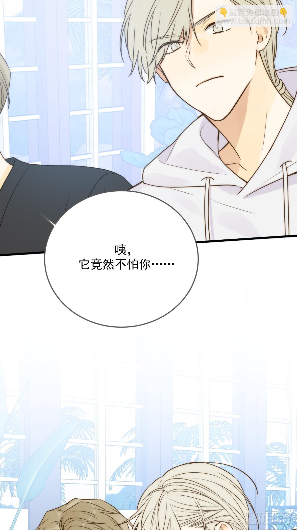 暗爽的青铭(1/2)-第61话
