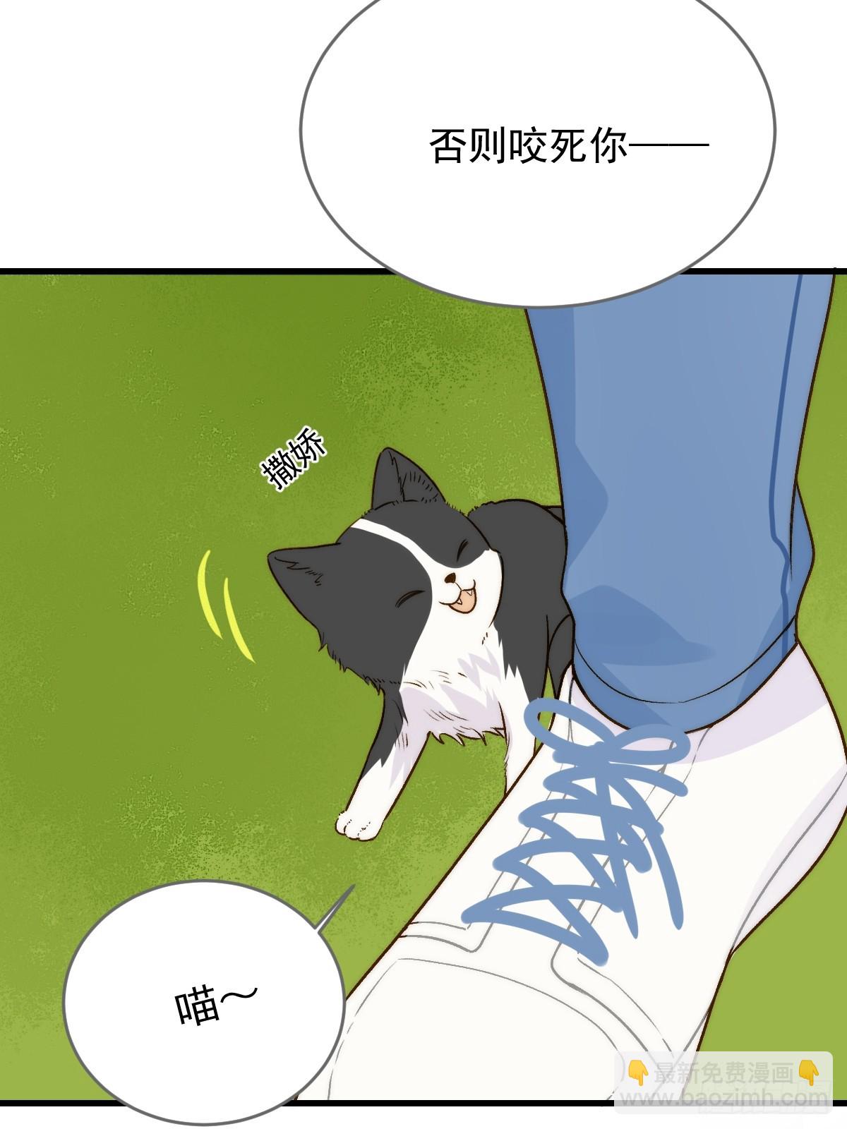 暗爽的青铭(1/2)-第61话