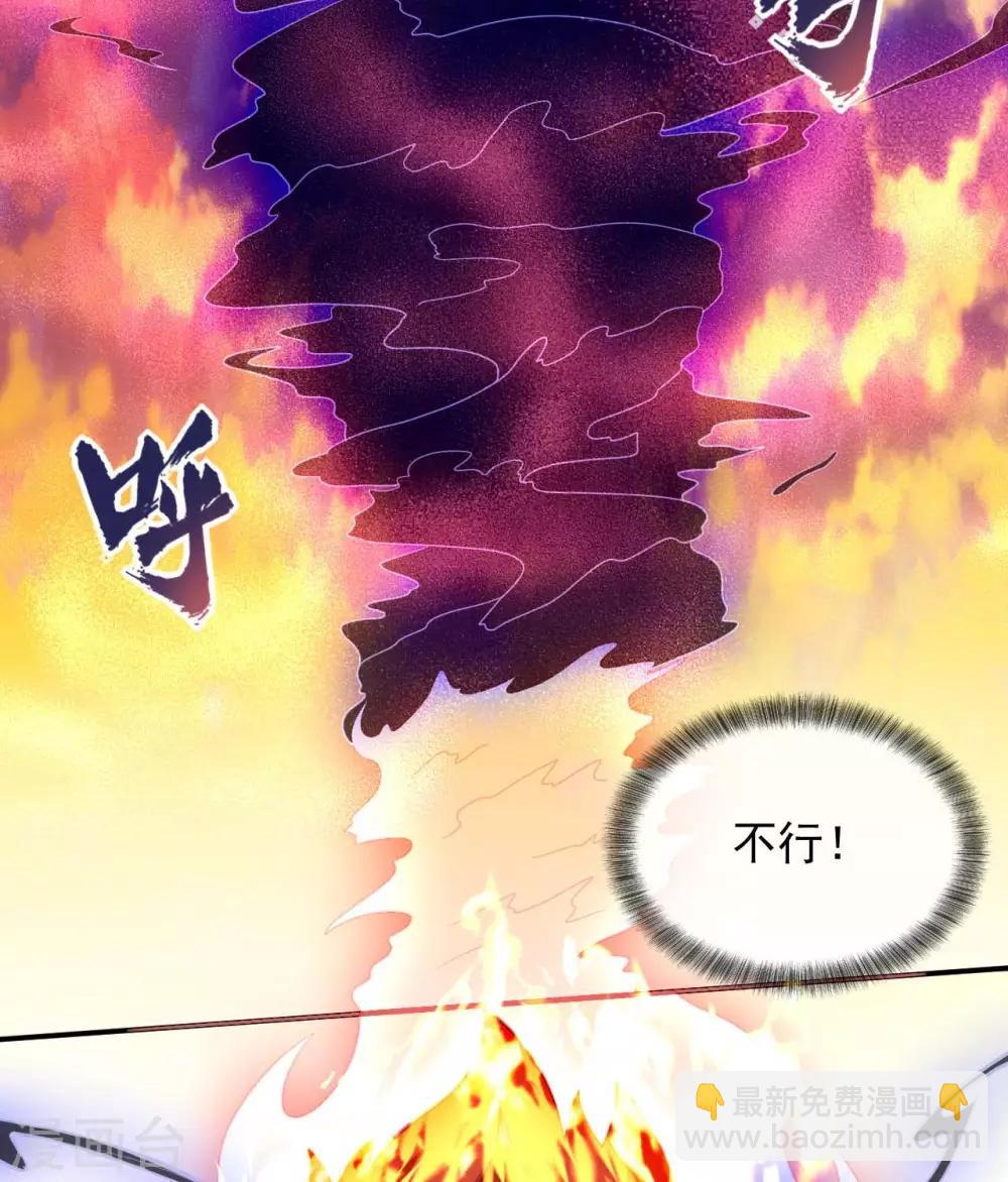 🍲至尊神级系统 第335话 王之遗产 第4页