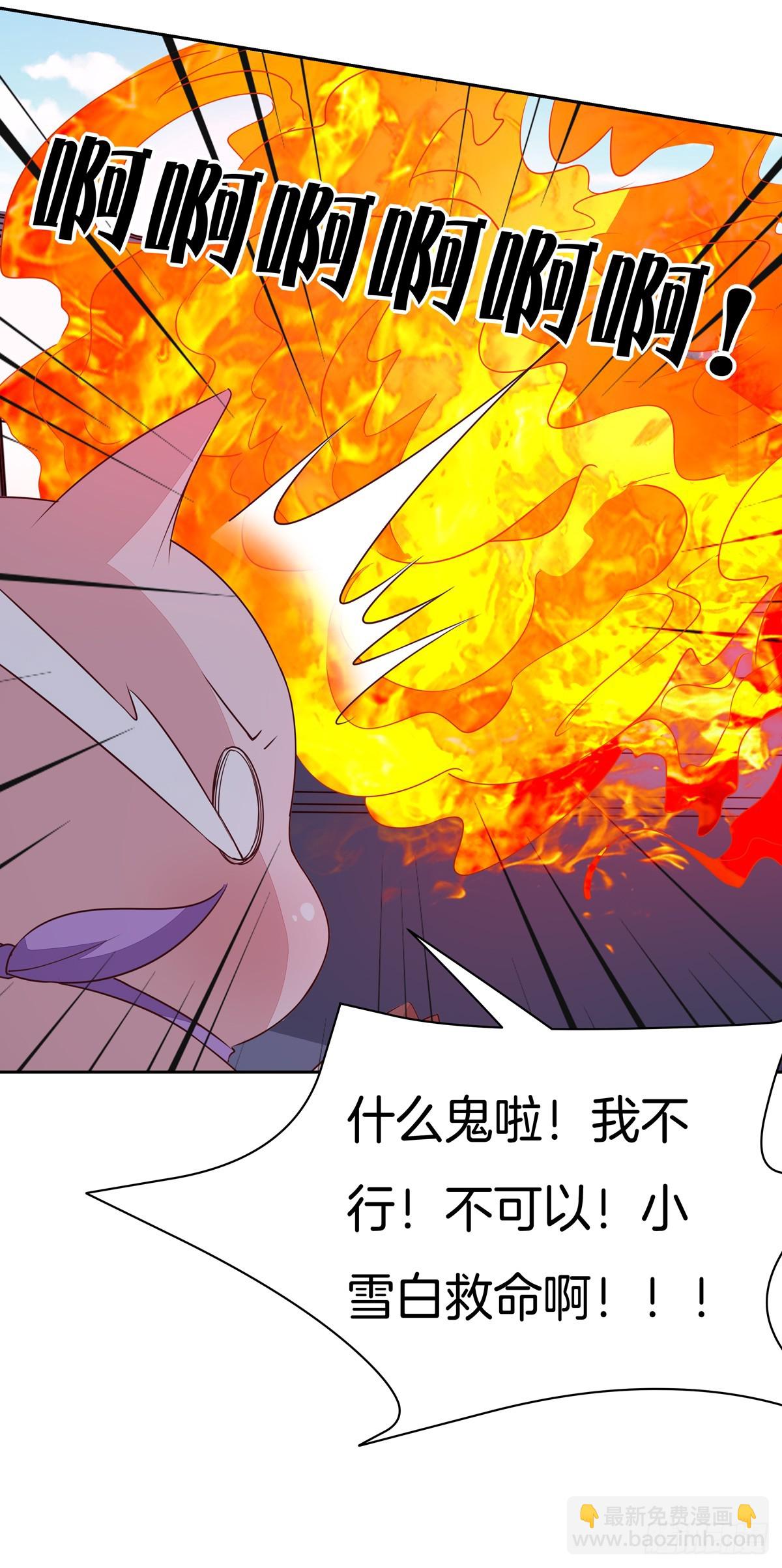 第五十话 神猪再现-第51话